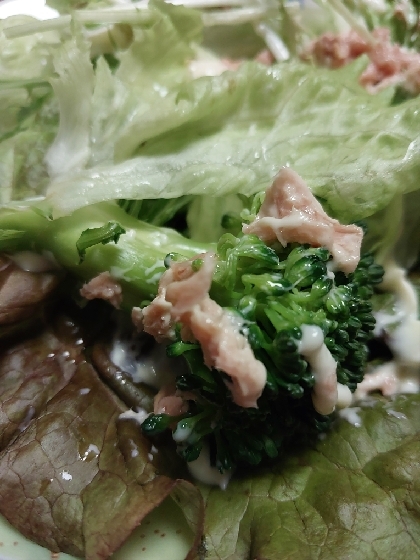 ブロッコリーとツナ