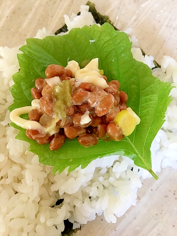 わさびマヨネーズがピリッ♪納豆おにぎらず