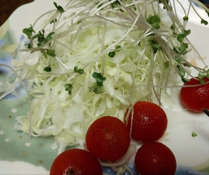 スプラウト入りサラダ