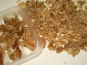 炒っておくと便利 炒り胡桃 レシピ 作り方 By ブルーボリジ 楽天レシピ