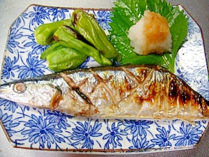 秋刀魚の塩焼き・ししとう添え