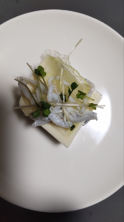 冷奴アレンジ スプラウトしらす玉ねぎスライスのせて