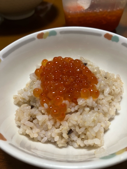 贅沢いくら丼！