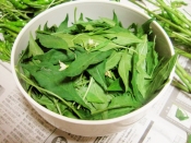 葉唐辛子の佃煮 めんつゆで簡単 レシピ 作り方 By yamat 楽天レシピ 葉唐辛子の佃煮 めんつゆで簡単 レシピ 作り方 By yamat 楽天レシピ