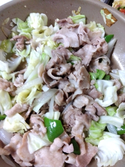 ピーマンとキャベツと長ネギと豚肉の炒め物⭐