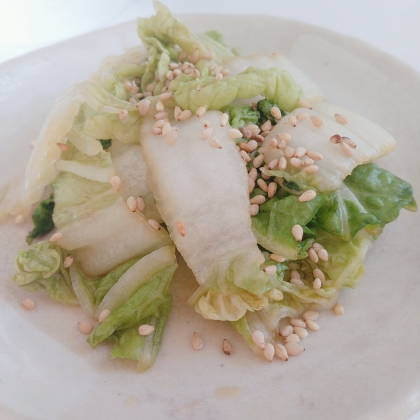 白菜がいっぱいあり、ぬか漬けにどうだろぅ？と思ってた所こちらのレシピと出会いました♡ありがとうございます♪美味しくいただきました
(⁠人⁠ ⁠•͈⁠ᴗ⁠•͈⁠)