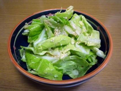 今の季節のキャベツは特に美味しいですね～♪
どっさり作って、あっという間に完食でした！