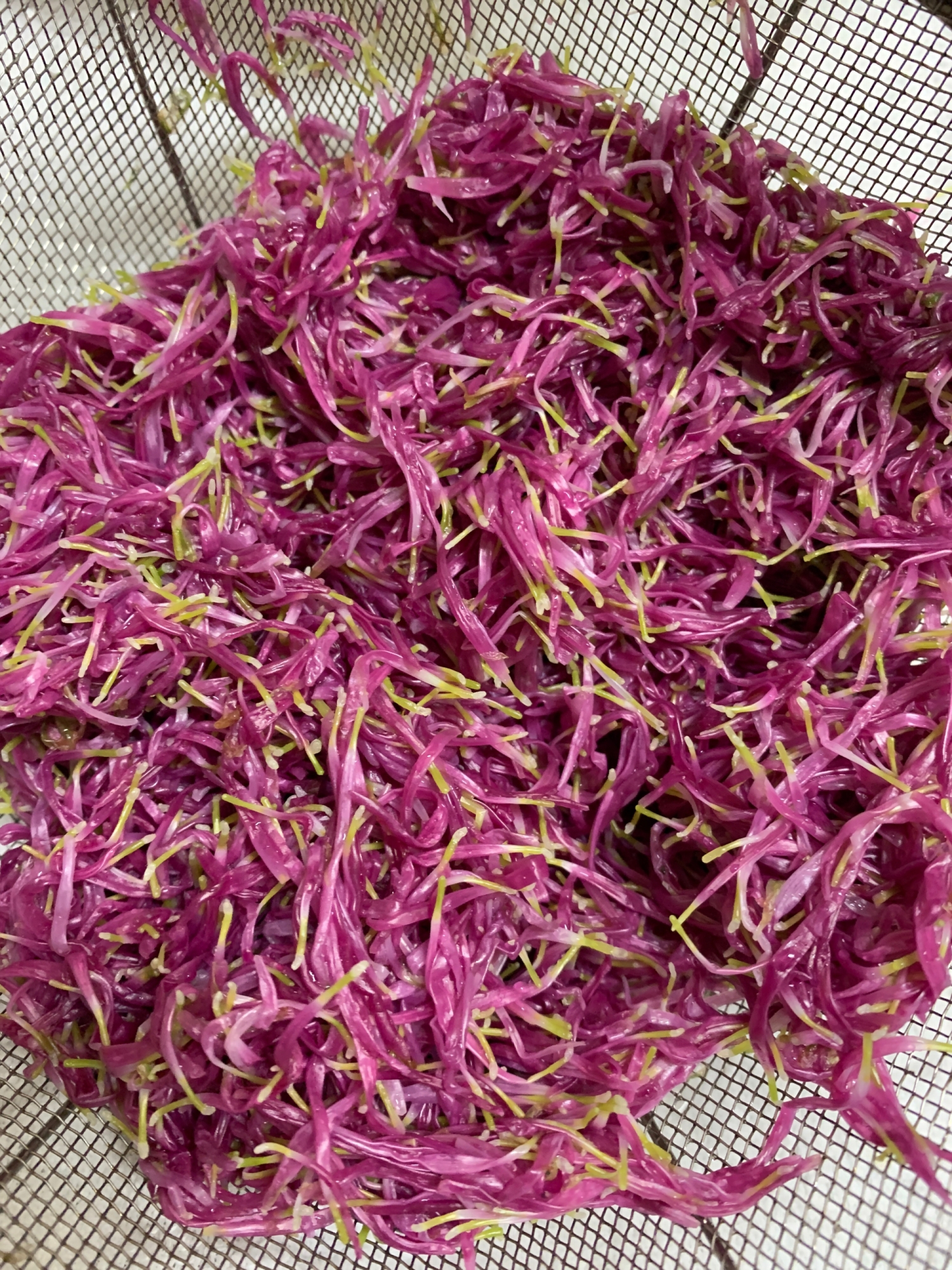 新潟の郷土料理 「菊」 基本の茹で方と冷凍保存