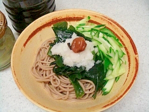 ワカメ梅おろし蕎麦