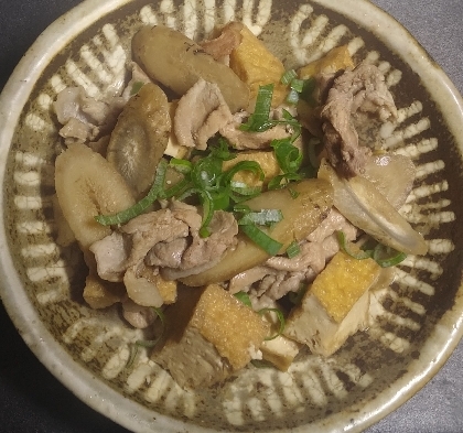 厚揚げ・牛蒡・豚肉の中華風炒め煮