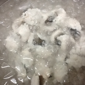 鱧 はも の湯引き梅ポン酢和え レシピ 作り方 By U Smyles 楽天レシピ 鱧 はも の湯引き梅ポン酢和え レシピ 作り方 By U Smyles 楽天レシピ