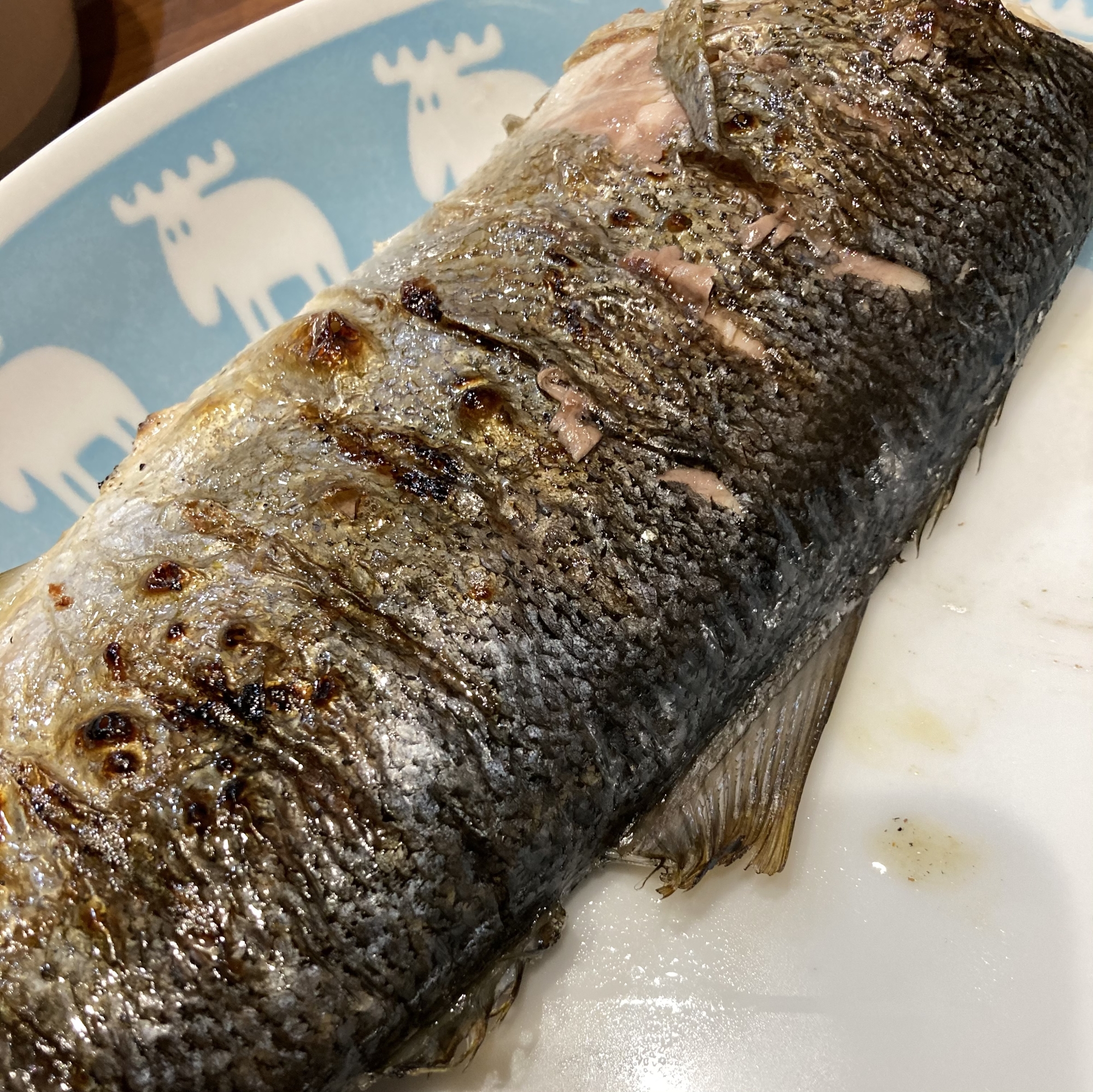 ツムブリの塩焼き レシピ 作り方 By へんてこへんてこママ 楽天レシピ