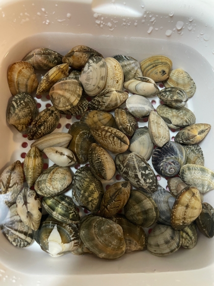 ありがとうございました！