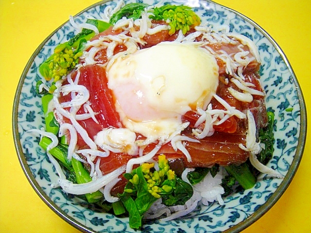 温玉しらす乗せ❤菜の花とマグロの漬け丼