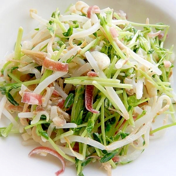 まな板なし5分!?りんご酢+味噌❤モヤシの和え物♪