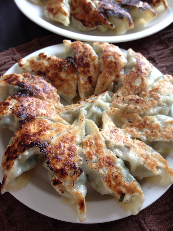 餃子は寝かせ!!失敗しない焼き方
