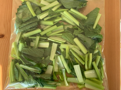 生のままでOK! 小松菜の冷凍保存方法