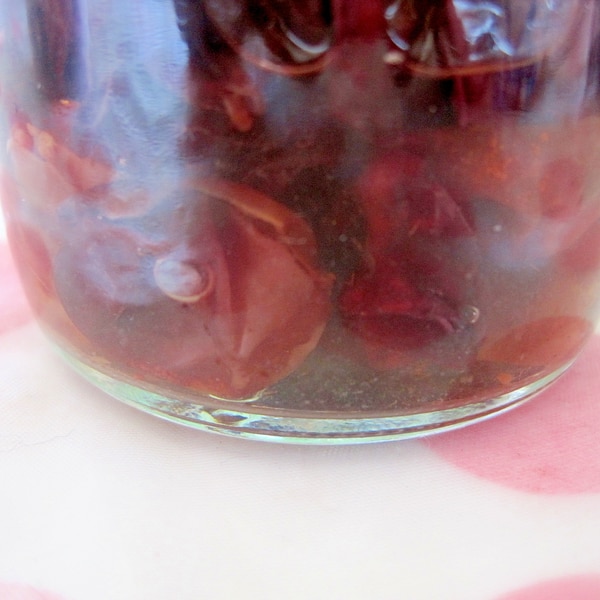 何年でも保存できる自家製ラムレーズン レシピ 作り方 By Yukkiy8 楽天レシピ 何年でも保存できる自家製ラムレーズン レシピ 作り方 By Yukkiy8 楽天レシピ