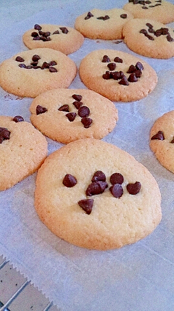 チョコチップクッキー（リッチ）