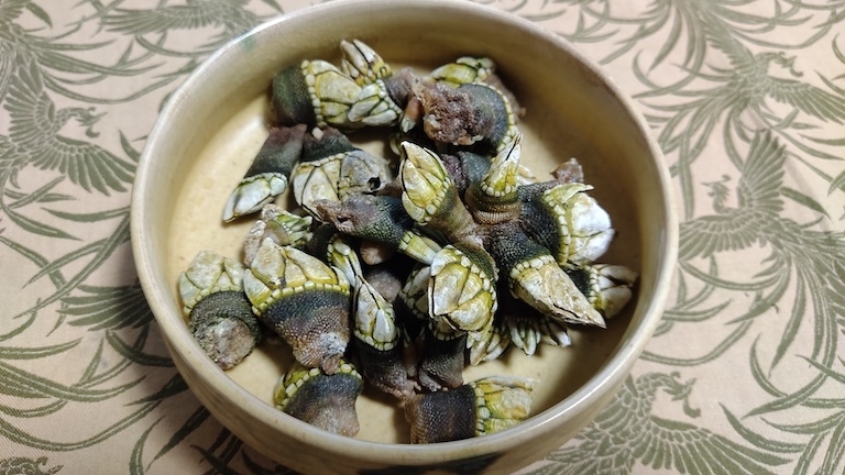 見た目は悪いが美味い　カメノテ（貝）の塩茹で