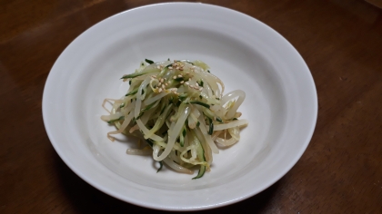 簡単！電子レンジもやしとキュウリの中華サラダ♪