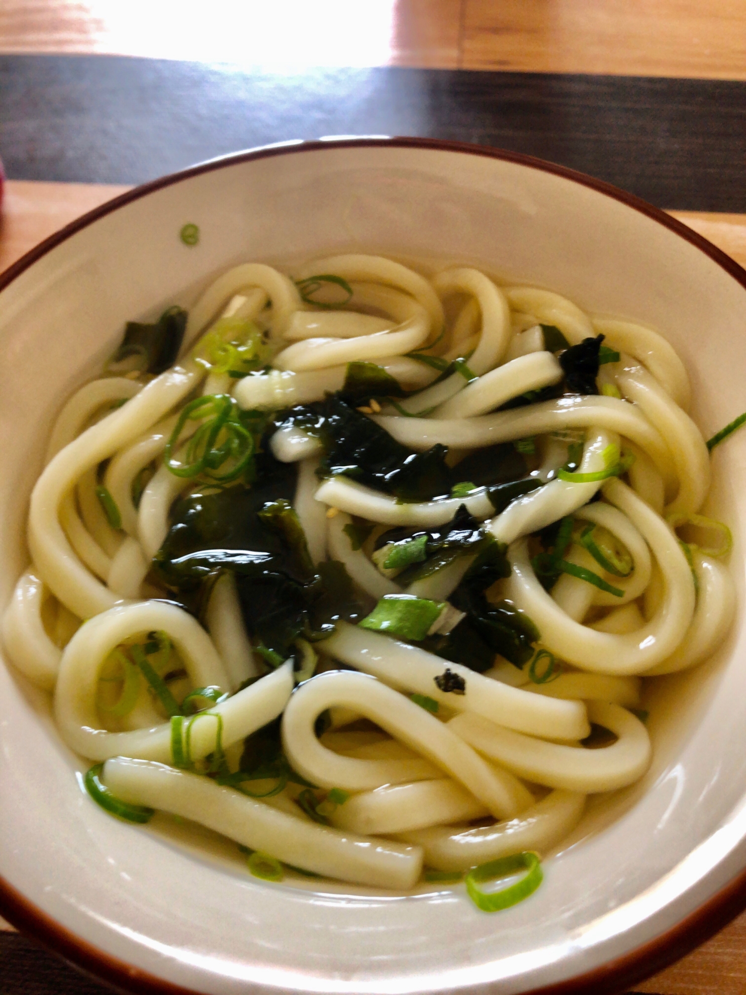 ワカメとネギのうどん