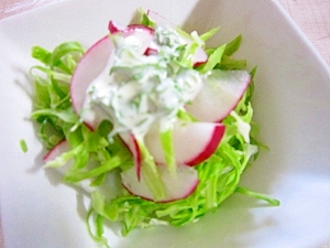 キャベツとラディッシュのサラダ レシピ 作り方 By Libre 楽天レシピ