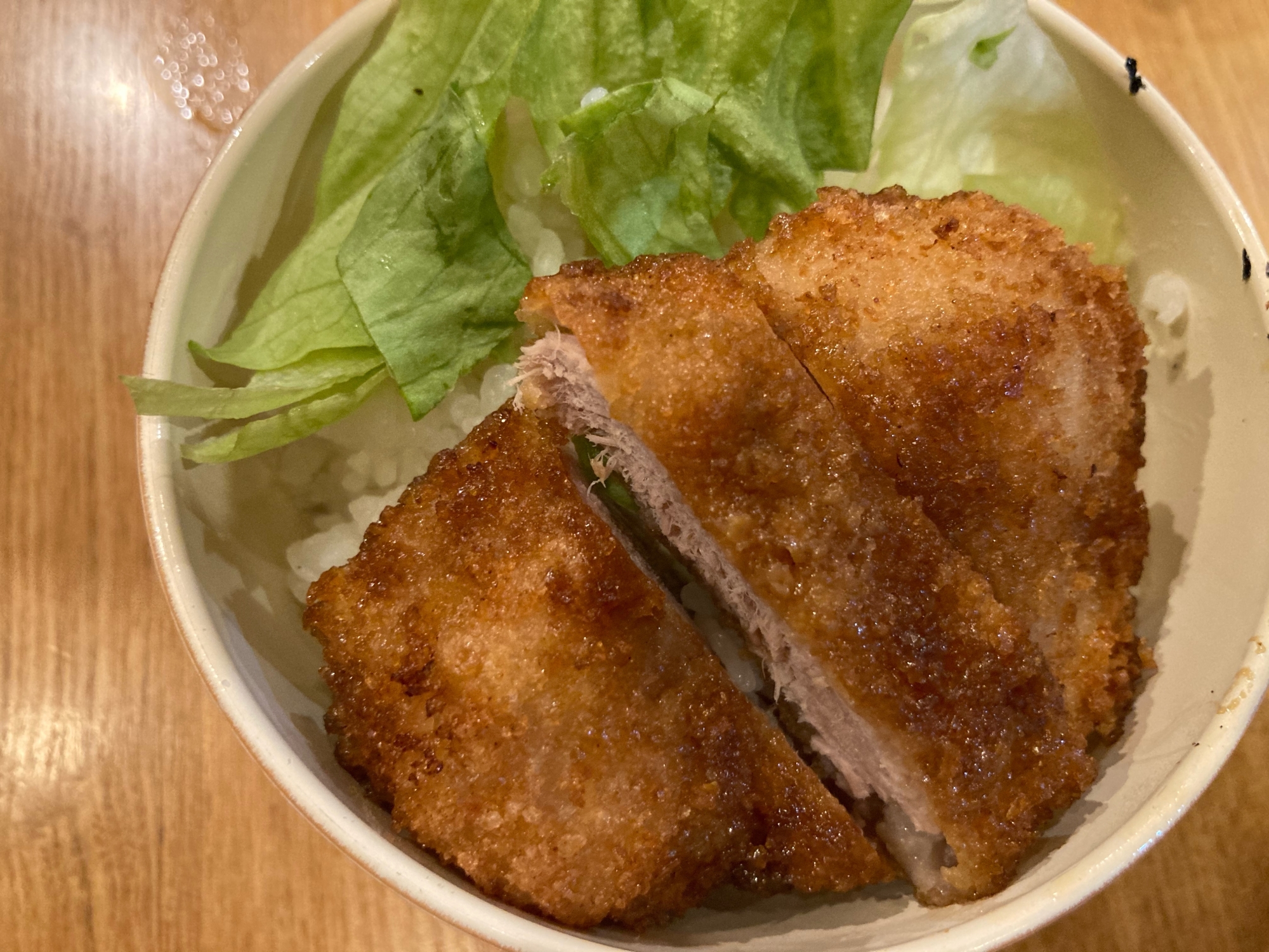 ソースヒレカツ丼