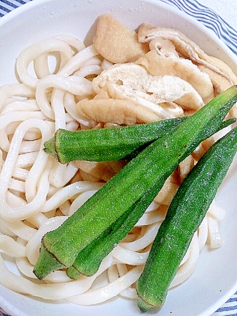 オクラときつねの冷やしうどん