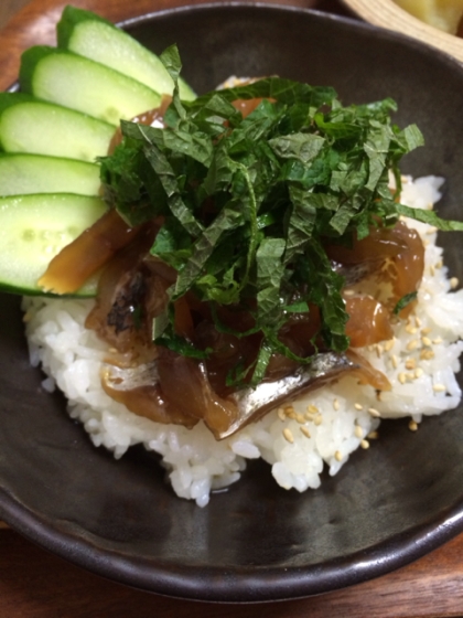 鯵（アジ）漬け丼