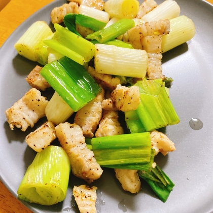 【ご飯がすすむ！】ねぎと豚肉の塩炒め