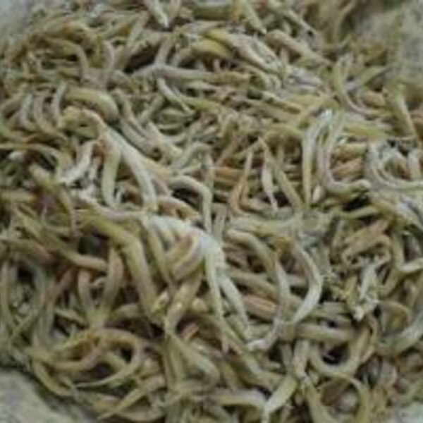 旬の魚 いかなご いかなご シンコ の釜揚げ レシピ 作り方 By ひろりん1106 楽天レシピ 旬の魚 いかなご いかなご シンコ の釜揚げ レシピ 作り方 By ひろりん1106 楽天レシピ