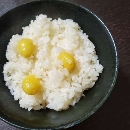 　銀杏ごろっごろ、シンプルぎんなんご飯