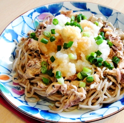 こんにちは～(´∀｀♡)ノ
気になってたこのお蕎麦、やっと作れたよ～♪さばと大根おろしがよく合って、とーってもおいしかったよ！ごちそうさまでしたぁ☆彡