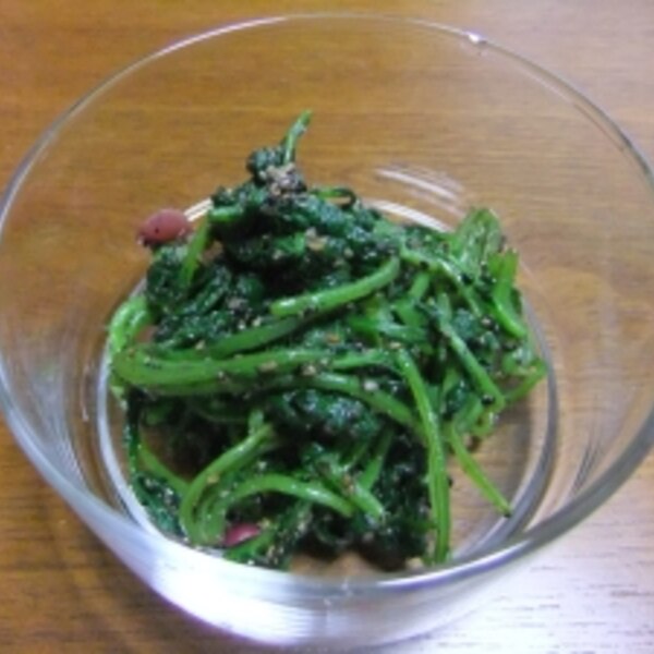 ラディッシュの葉でごまあえ レシピ 作り方 By Kirakirakirarako 楽天レシピ ラディッシュの葉でごまあえ レシピ 作り方 By Kirakirakirarako 楽天レシピ