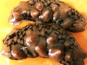 ナマコ酢とこのわた 下処理 レシピ 作り方 By Sea Kitchen 楽天レシピ ナマコ酢とこのわた 下処理 レシピ 作り方 By Sea Kitchen 楽天レシピ