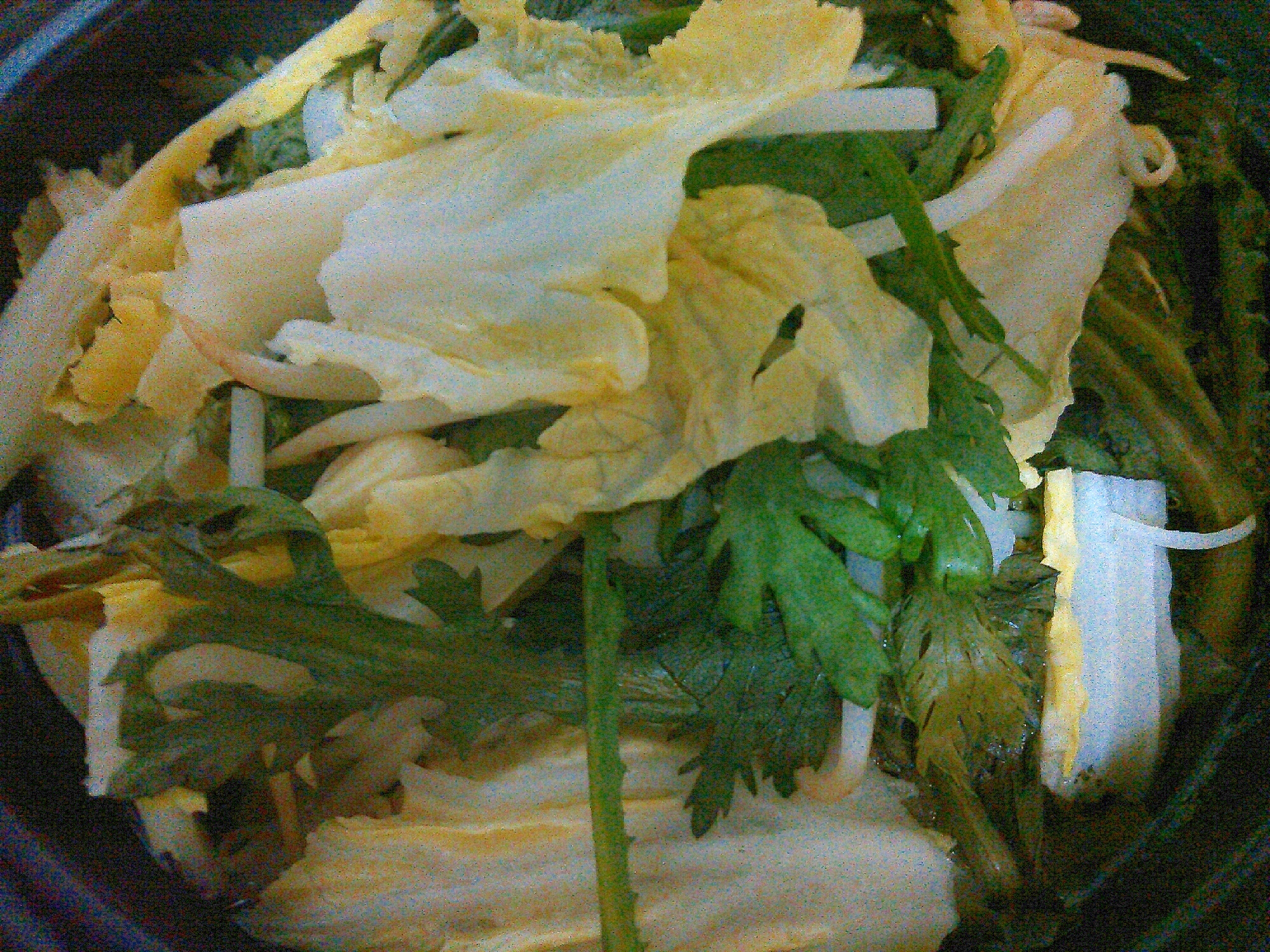 白菜と春菊のサラダ