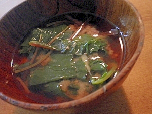 赤カブの葉と生姜の味噌汁