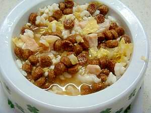 犬ごはん 鶏鍋 レシピ 作り方 By ふじこ103 楽天レシピ 犬ごはん 鶏鍋 レシピ 作り方 By ふじこ103 楽天レシピ