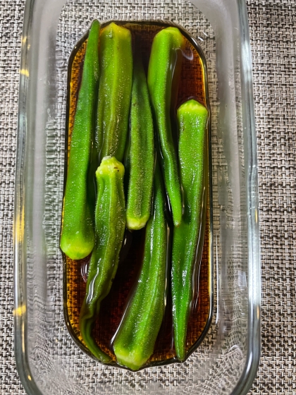 先日はレポありがとうございました。
めんつゆ漬け作ってみましたが、めっちゃ簡単でいいですね！
ご馳走様でした^ ^