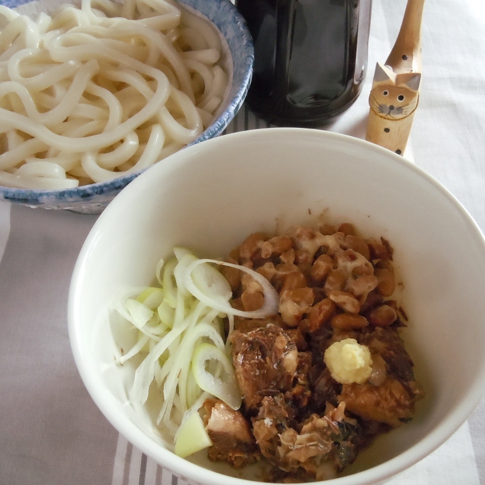 鯖の水煮で簡単ひっぱりうどん♪