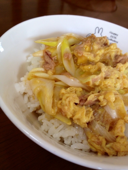 ねぎたっぷり♪ツナ丼