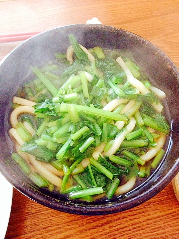 材料コレだけ☆カブの葉入りの温うどん