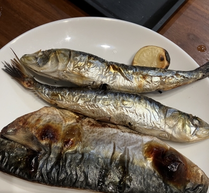 黒ムツの魚焼きグリルで塩焼き！