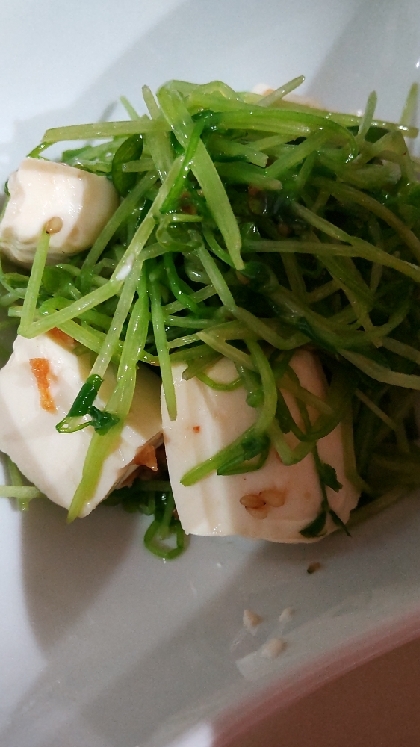 ネギと海苔の風味が美味しい♡豆腐と豆苗のサラダ