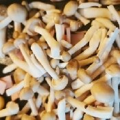 きのこはむ 基本からアレンジまで！思わずつくりたくなる「ハムきのこ」の