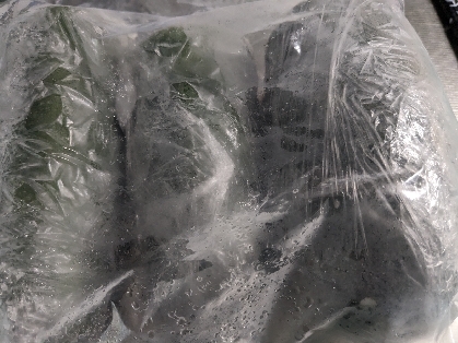 ズッキーニの冷凍保存解凍方法