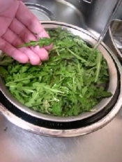 春の0円食材 たんぽぽの若葉のおひたし レシピ 作り方 By 台所職人 楽天レシピ 春の0円食材 たんぽぽの若葉のおひたし レシピ 作り方 By 台所職人 楽天レシピ