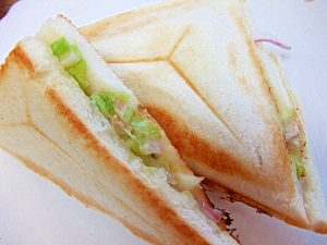 今日のランチ＊ツナ野菜サンドイッチ