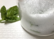 スィートバジルで 自家製ハーブソルト レシピ 作り方 By M H 楽天レシピ スィートバジルで 自家製ハーブソルト レシピ 作り方 By M H 楽天レシピ